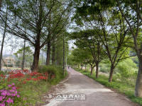 한국관광공사, 전북지역 눈치보지마시개 길 4곳 발표