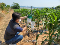 강진군, 열대거세미나방 조기발견 및 방제 당부