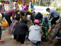 의왕시, 16일까지 찾아가는 반려식물병원 운영