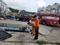 해남군 돼지농가 불..돼지 5060여 마리  폐사