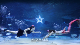 코엑스 아쿠아리움, 인어공주 수중공연 