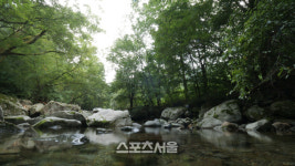 경기도, 계곡 5곳서 숲속명상·캠핑 등 체험프로그램 운영