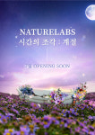 화제를 일으킨 플라워 바이 네이키드 홍대의 네이처랩스, 7월15일부터 시간의 조각 : 계절개최해