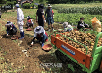 강원랜드 도박 중독·치유 프로그램 생명사랑 녹색치유농장 효과 커