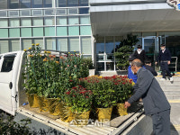 보성군 미력면 주민자취위,국화향기 가득한 꽃길 조성