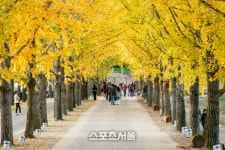 가볍게 떠나는 단풍여행 충북 단풍 명소 4곳