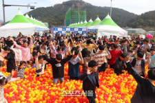 탐스러운 황금 유자의 향연 2022 고흥유자석류축제 10일 개막