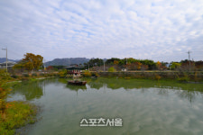 비둘기 숲에 깃든 2200여 년 역사의 향기···영암 ‘구림마을’