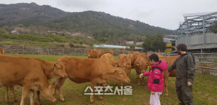 해남군, 한우 공급과잉, 선제적 수급조절 추진
