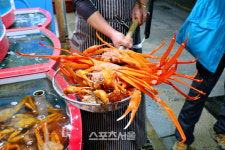 겨울 바다를 탐하다~ 대게 맛있고 되게 멋있는 울진 여행