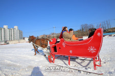 새하얀 겨울왕국으로의 초대 대관령눈꽃축제 20일 개막