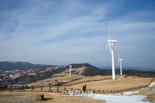새하얀 겨울왕국으로의 초대 대관령눈꽃축제 20일 개막