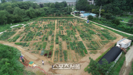 용인시, 공세동 시민농장서 텃밭 가꿀 농부 800팀 모집
