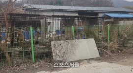 경기도,  이번엔 광주 농장서 개사체 8마리 발견 수사 중
