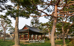 ‘이곳이 무릉도원인가?’ 전남 영암군, 선비들의 이상향과 미래 경제가 공존하는 곳!