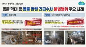 경기도, 무허가 개 번식 판매 등 3곳 적발
