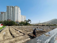 [포토] 장성군, 텃밭체험농장  개장