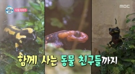 MBC 아나운서 김대호, 정글 같은 집 공개 “혼자 산 지 20년 차” (나혼자산다)