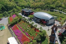 [포토] 보성군, 제암산자연휴양림 봄꽃 만발