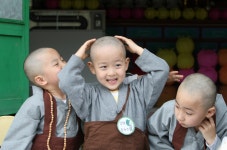 ‘초파일’을 공휴일로 공포하라-어느 불자 변호사의 소송[선데이서울로 본 50년전 오늘]