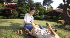 ‘유퀴즈’→‘동물농장’ 출연작마다 폐지론…尹대통령 섭외 딜레마 [박효실의 SS톡]