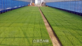 정읍시, 농업인상담소 ‘벼 남은 모 알선 창구’ 운영