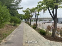 수원시, 경수대로 등 8개소 ‘정원형 띠녹지’ 조성