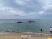 속초시, 3개 모든 해수욕장에 상어 그물망 설치