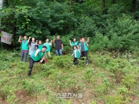 원주시 명륜2동 새마을회, 용화산 둘레길 제초 및 환경정비 실시