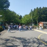 제주시, 힐링하기 딱 맞춤...절물자연휴양림으로 오세요!