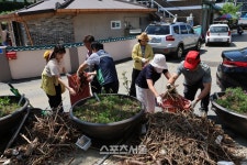 동해시, 태풍이 지나간 후...피해 복구에 총력!