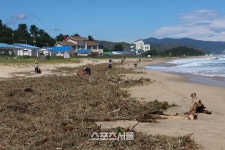 [포토]동해시, 대진해변 쓰레기 수거 작업 현장