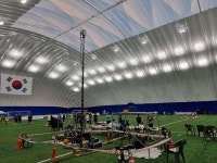 ‘파노라마 화면’으로 보는 축구 경기?…AI이기에 가능하다