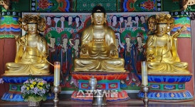 동해시, 삼화사 삼존불좌상 강원특자도 유형문화재 지정