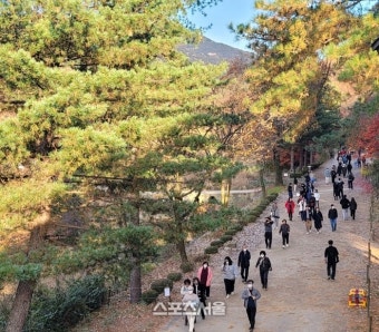 안양시, 21일부터 26일간 ‘서울대 관악수목원’ 개방