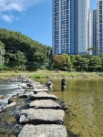 성남시, 탄천 수질 1등급 ‘버들치’ 곳곳서 발견