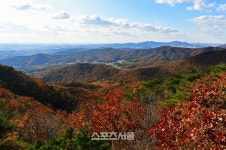 수원시,대한민국 100대 명품숲 ‘광교산 솔향기숲’ 선정