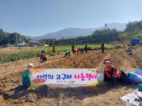 원주시 명륜1동새마을회·주민자치위원회, ‘사랑의 고구마’ 수확