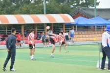 제주특별자치도, 2023 생활체육동호인 스포츠 페스티벌 개최