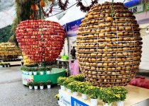 정선군 고랭지 우수농산물 대전, 11월 24일 임계 일원서 개최!