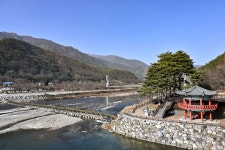 정선군, 아우라지에 ‘솔가지와 흙으로 만든 전통 섶다리’ 설치 완료!