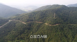 전남도, 설 전후로 임도 개방