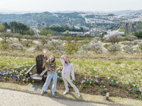 에버랜드, 매화 테마정원 ‘하늘정원길’ 15일 조기 오픈