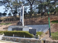 진도군, 탄소중립과 녹색도시 실현