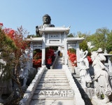 강진군, 남미륵사 일원서 봄꽃축제 개최