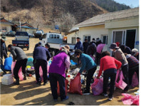 평창군 봉평면 면온1리 마을, 봄맞이 환경정화 활동