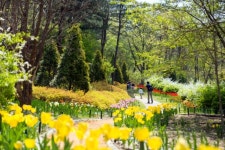 숲 속의 작은 유럽 ‘제이드가든’, 4월과 5월은 제이드가든의 ‘꽃물결원’을 즐길 수 있는 적기!