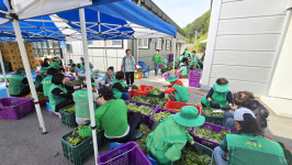 홍천군새마을부녀회, 사랑의 반찬 나눔 행사