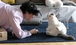 ‘나혼산’ 두번째 출격 안재현, 냥집사→식집사 변신 “가장 원초적인 행복이 꽃”