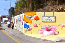 속초시, 관내 3개 구간 명예도로명 부여